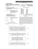 Detection method using nanoaggregate-embedded beads and system thereof diagram and image