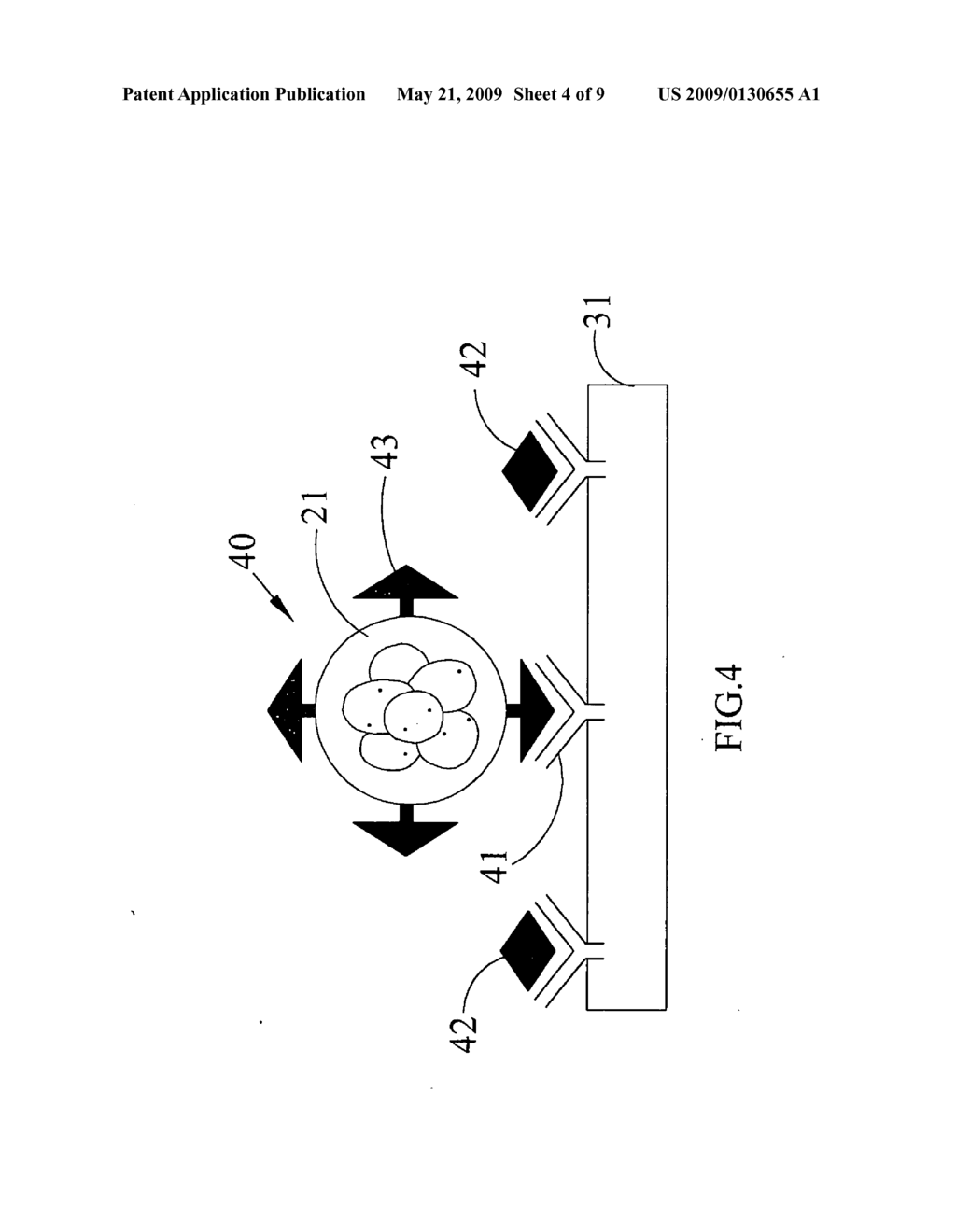 Detection method using nanoaggregate-embedded beads and system thereof - diagram, schematic, and image 05