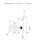 Detection method using nanoaggregate-embedded beads and system thereof diagram and image