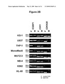 KITS AND METHODS FOR DETECTING METHYLATED DNA diagram and image