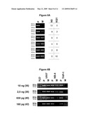 KITS AND METHODS FOR DETECTING METHYLATED DNA diagram and image