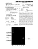 METHOD FOR ISOTHERMAL AMPLIFICATION OF NUCLEIC ACIDS AND METHOD FOR DETECTING NUCLEIC ACIDS USING SIMULTANEOUS ISOTHERMAL AMPLIFICATION OF NUCLEIC ACIDS AND SIGNAL PROBE diagram and image