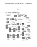 METHOD FOR ISOTHERMAL AMPLIFICATION OF NUCLEIC ACIDS AND METHOD FOR DETECTING NUCLEIC ACIDS USING SIMULTANEOUS ISOTHERMAL AMPLIFICATION OF NUCLEIC ACIDS AND SIGNAL PROBE diagram and image