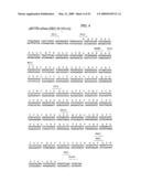 Compositions and Methods of Producing Hybrid Antigen Binding Molecules and Uses Thereof diagram and image