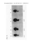 Antibodies to CD40 diagram and image