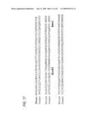 Antibodies to CD40 diagram and image