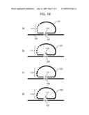 Methods for Genotyping Polymorphisms diagram and image