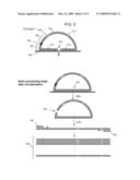 Methods for Genotyping Polymorphisms diagram and image