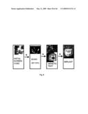 DIAGNOSTIC KITS AND METHODS FOR SCD OR SCA THERAPY SELECTION diagram and image