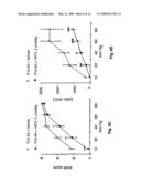 Transient receptor potential vanilloid 1 and uses thereof diagram and image