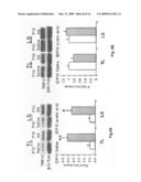Transient receptor potential vanilloid 1 and uses thereof diagram and image