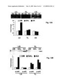 Transient receptor potential vanilloid 1 and uses thereof diagram and image