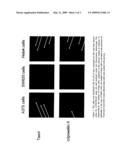 CROPWELLLINS AND SYNTHETIC DERIVATIVES THEREOF USED AS MEDICAMENTS diagram and image