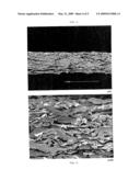 ABSORBENT FOAM MATERIAL, A METHOD OF PRODUCING IT AND AN ABSORBENT STRUCTURE CONTAINING SAID FOAM MATERIAL diagram and image