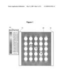 Passive Electric Field Focus System for In Vivo and In Vitro Applications diagram and image