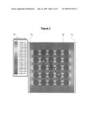 Passive Electric Field Focus System for In Vivo and In Vitro Applications diagram and image