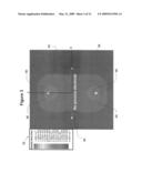 Passive Electric Field Focus System for In Vivo and In Vitro Applications diagram and image