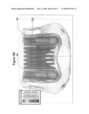 Passive Electric Field Focus System for In Vivo and In Vitro Applications diagram and image