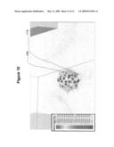 Passive Electric Field Focus System for In Vivo and In Vitro Applications diagram and image