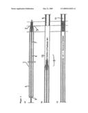 Combination of a vascular prosthesis and retaining element diagram and image