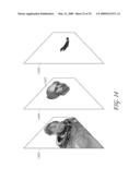 SYSTEMS AND METHODS FOR INTERACTIVE ADVERTISING USING PERSONALIZED HEAD MODELS diagram and image