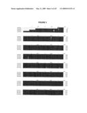 Modification of Flavonoid Biosynthesis in Plants diagram and image