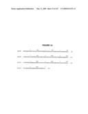 Modification of Flavonoid Biosynthesis in Plants diagram and image