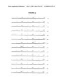 Modification of Flavonoid Biosynthesis in Plants diagram and image