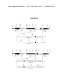 Modification of Flavonoid Biosynthesis in Plants diagram and image