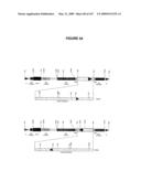 Modification of Flavonoid Biosynthesis in Plants diagram and image