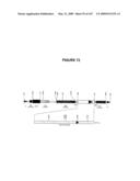 Modification of Flavonoid Biosynthesis in Plants diagram and image