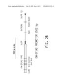 SOYBEAN EF1A2 PROMOTER AND ITS USE IN CONSTITUTIVE EXPRESSION OF TRANSGENIC GENES IN PLANTS diagram and image