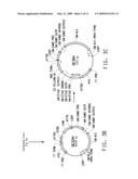 SOYBEAN EF1A2 PROMOTER AND ITS USE IN CONSTITUTIVE EXPRESSION OF TRANSGENIC GENES IN PLANTS diagram and image