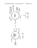 SOYBEAN EF1A2 PROMOTER AND ITS USE IN CONSTITUTIVE EXPRESSION OF TRANSGENIC GENES IN PLANTS diagram and image