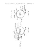 SOYBEAN EF1A2 PROMOTER AND ITS USE IN CONSTITUTIVE EXPRESSION OF TRANSGENIC GENES IN PLANTS diagram and image