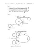 Light Diffusive Sheet for Backlihgt Unit and Preparation Thereof diagram and image