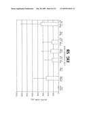 Anti-inflammatory activity from lactic acid bacteria diagram and image