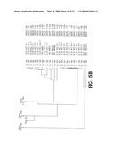 Anti-inflammatory activity from lactic acid bacteria diagram and image