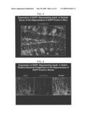 METHODS OF TREATING NEURODEGENERATIVE DISORDERS diagram and image