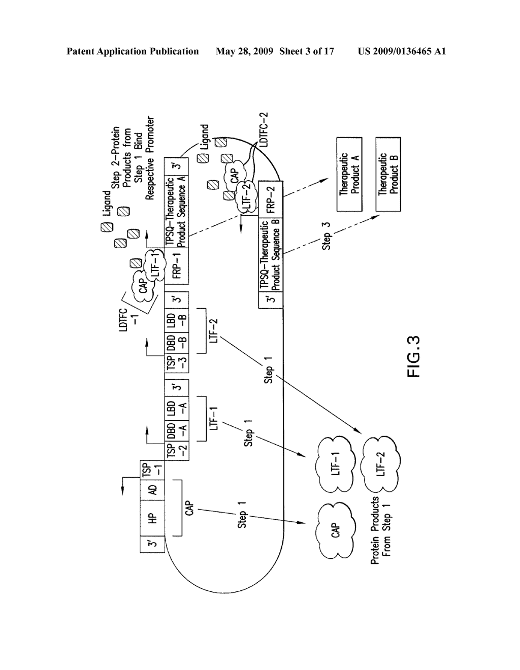 Therapeutic Gene-Switch Constructs and Bioreactors for the Expression of Biotherapeutic Molecules, and Uses Thereof - diagram, schematic, and image 04