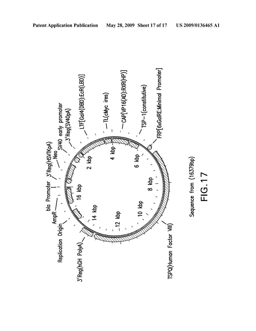 Therapeutic Gene-Switch Constructs and Bioreactors for the Expression of Biotherapeutic Molecules, and Uses Thereof - diagram, schematic, and image 18