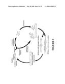 Use of Myostatin (GDF-8) Antagonists for Treatment of Sarcopenia (Age-Related Muscle-Wasting) diagram and image