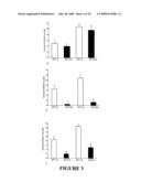 Use of Myostatin (GDF-8) Antagonists for Treatment of Sarcopenia (Age-Related Muscle-Wasting) diagram and image