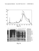 Novel antibody molecules and nucleic acids diagram and image