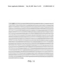 IL-17 homologous polypeptides and therapeutic uses thereof diagram and image