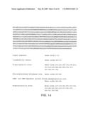 IL-17 homologous polypeptides and therapeutic uses thereof diagram and image