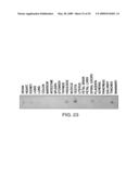 IL-17 homologous polypeptides and therapeutic uses thereof diagram and image