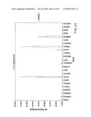 IL-17 homologous polypeptides and therapeutic uses thereof diagram and image