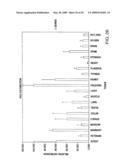 IL-17 homologous polypeptides and therapeutic uses thereof diagram and image