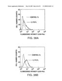 IL-17 homologous polypeptides and therapeutic uses thereof diagram and image